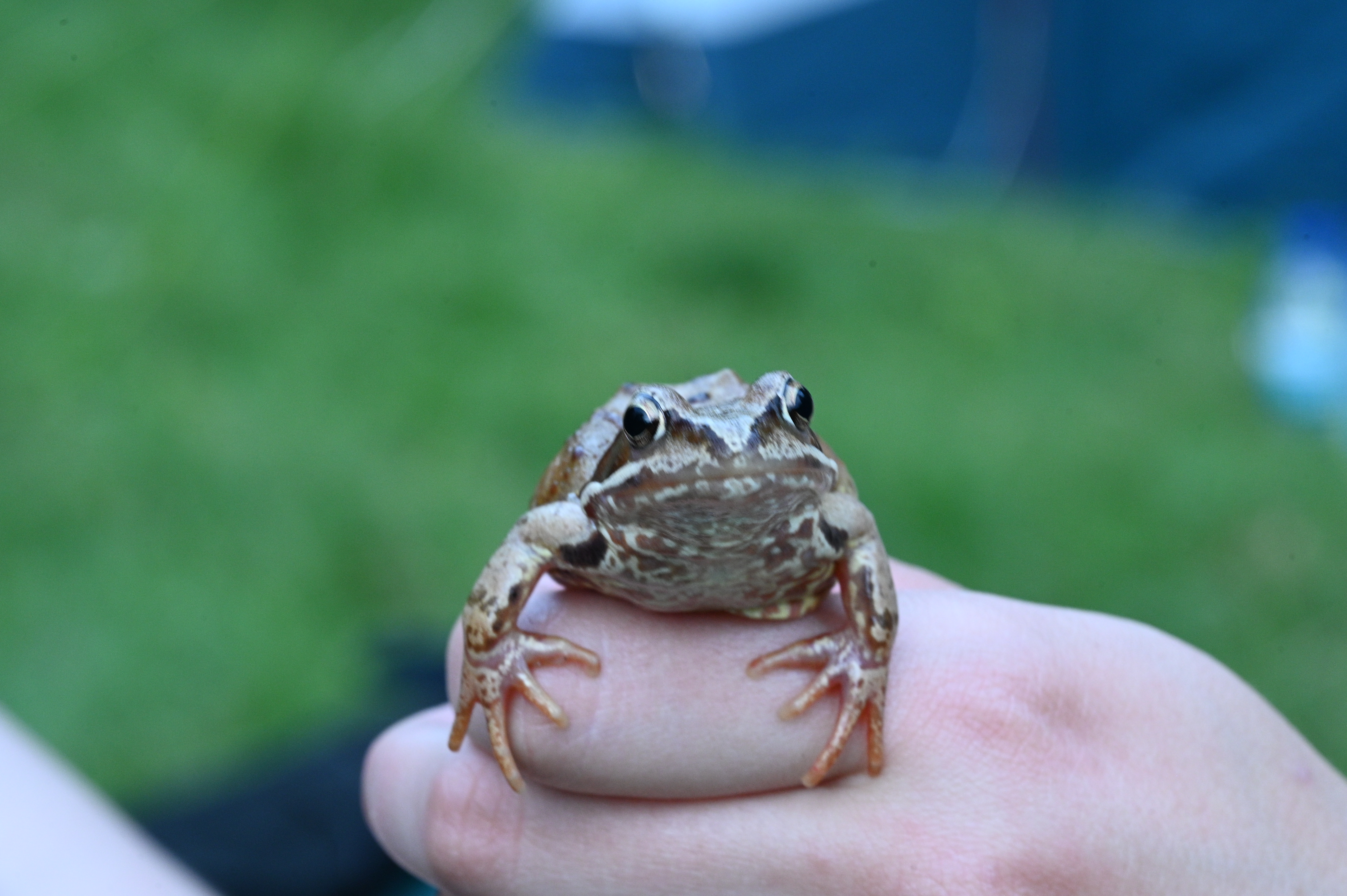 2025/07/09-14 - trip/DSC_0062.JPG